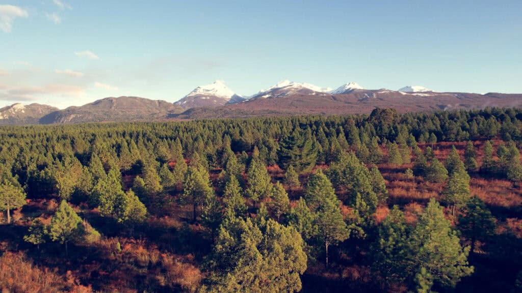 Terreno en venta en Trevelin rodeado de naturaleza y montaña