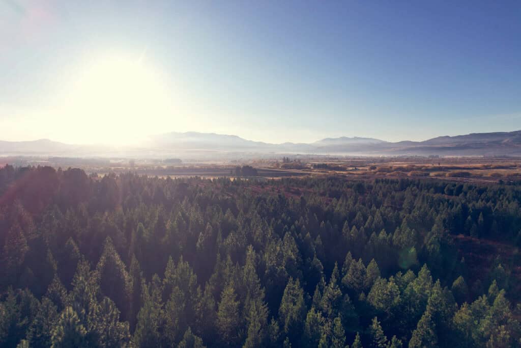 Loteo en Trevelin con orientación norte y fondo de bosque