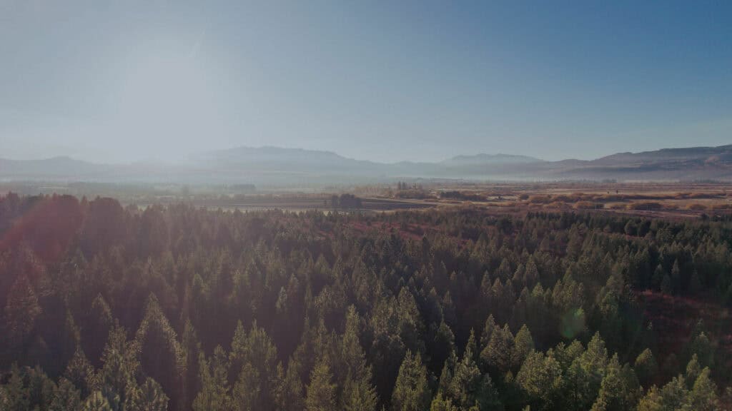 Paisaje despejado de lote en Trevelin con cordillera al fondo y vegetación autóctona