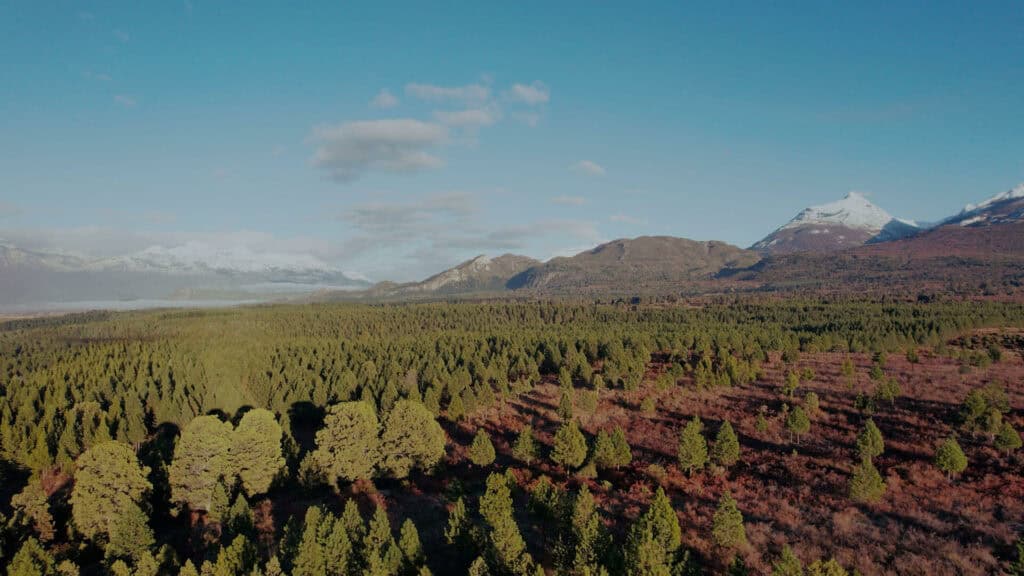 Vista aérea de terrenos en venta en Trevelin con luz de amanecer sobre el valle